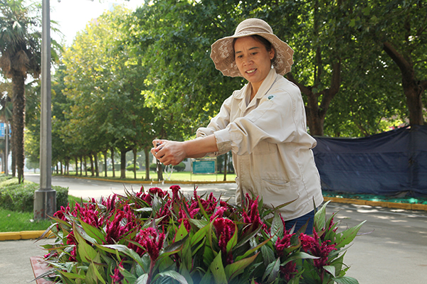 1632973792894979.jpeg IMG_0748.JPG