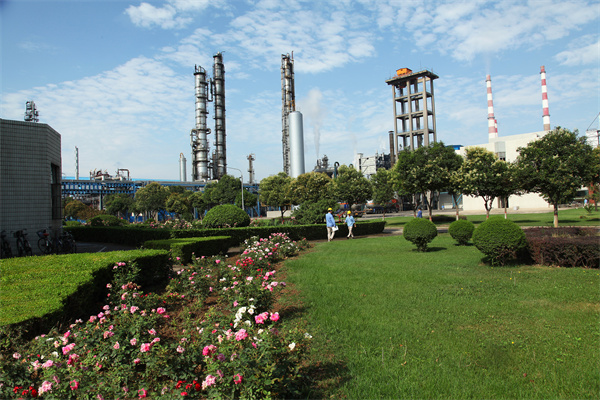 1650794700231417.jpeg 1631091829467013.jpg