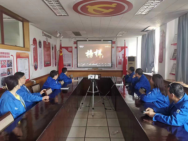 3月27日，實(shí)業(yè)公司黨支部組織黨員干部觀看榜樣7(副圖）.jpg