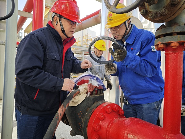 1732840138122416.jpeg 0cf9e5a25cc412304e5c5df09208f31.jpg