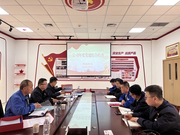 2024年11月5日，支部參加公司年度黨建檢查.jpg