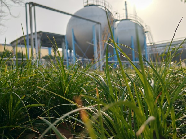 181742286249447891.jpg 34f19a30ea5e4027f44a54b4e154d27.jpg